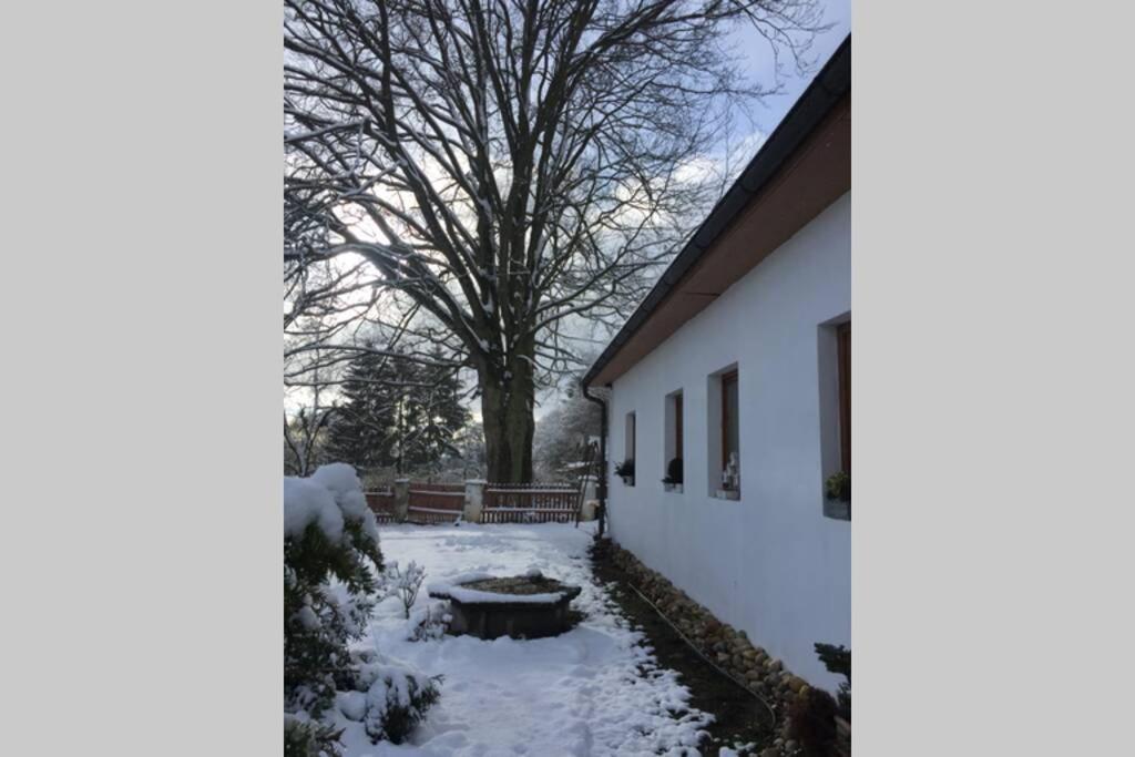 Ferienwohnung Apartman U Pamatneho Stromu Česká Lípa Exterior foto