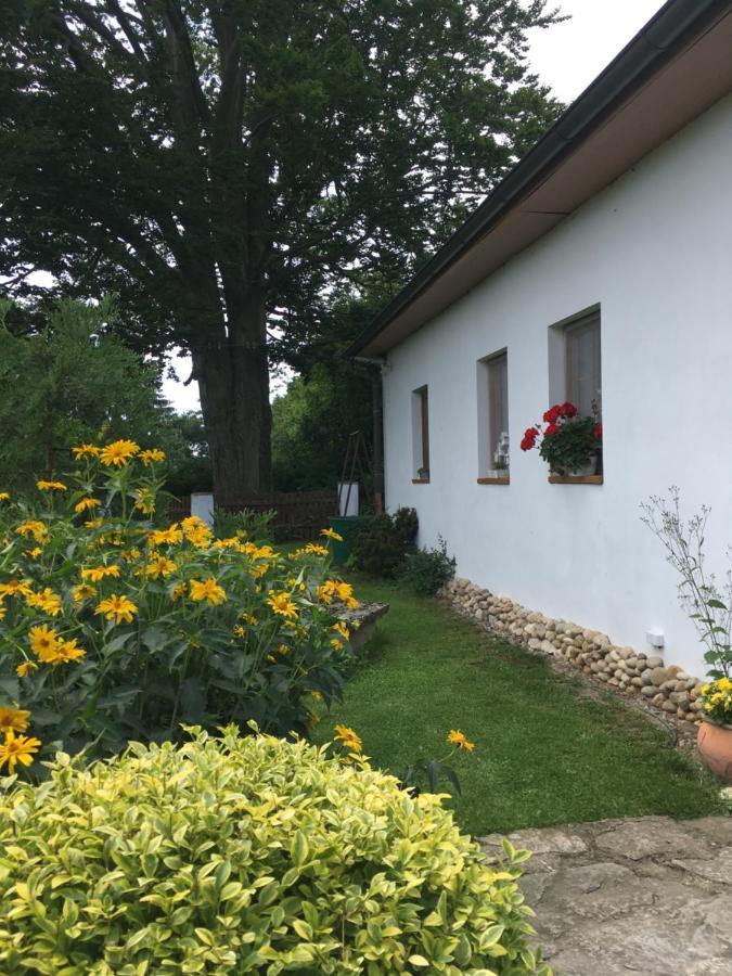 Ferienwohnung Apartman U Pamatneho Stromu Česká Lípa Exterior foto