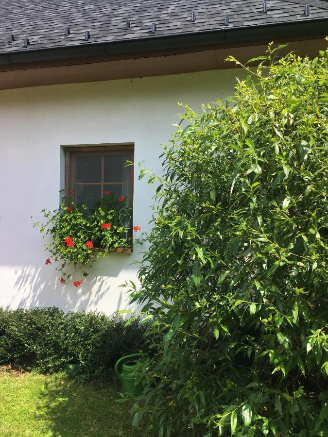 Ferienwohnung Apartman U Pamatneho Stromu Česká Lípa Exterior foto
